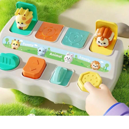 Popup Peekaboo Toy
